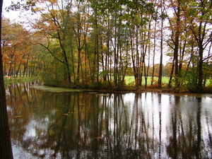 weerspiegeling