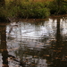 pa180045