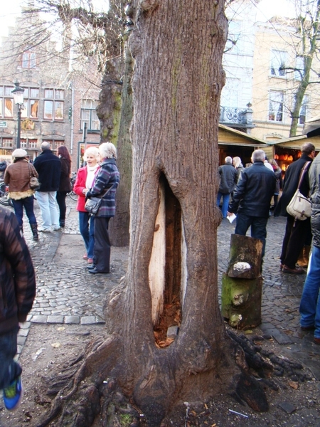 BRUGGE NOVEMBER 2011 IJSCULPUREN 033