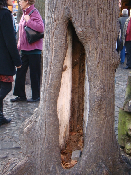 BRUGGE NOVEMBER 2011 IJSCULPUREN 034