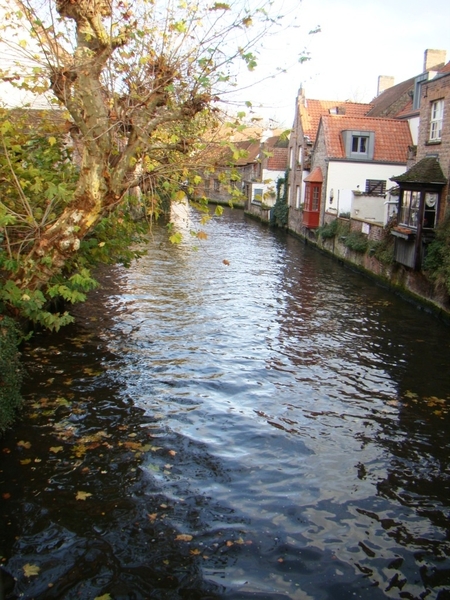 BRUGGE NOVEMBER 2011 IJSCULPUREN 048