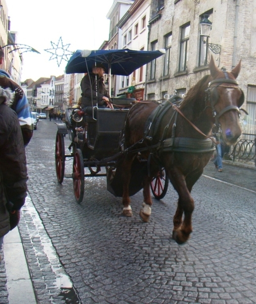 BRUGGE NOVEMBER 2011 IJSCULPUREN 049