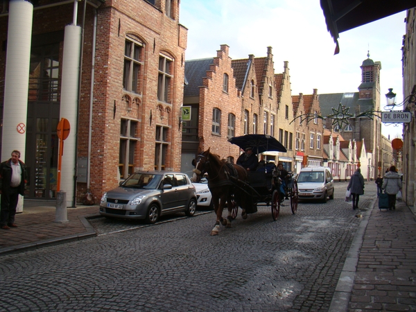 BRUGGE NOVEMBER 2011 IJSCULPUREN 057