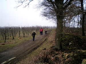 De eersten over de muur