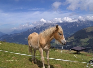 vakantie 2007 hallstattersee en kaisergebirgte 095