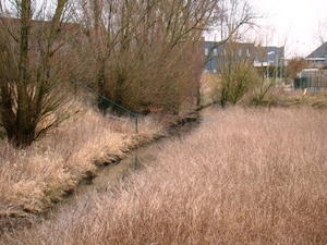 ROGIER 037