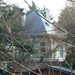 POLENPLEIN  22 - 2 -2012 022