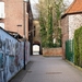 POLENPLEIN  22 - 2 -2012 025