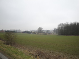 DSC03974