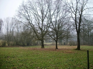 13-