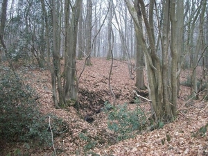 49-