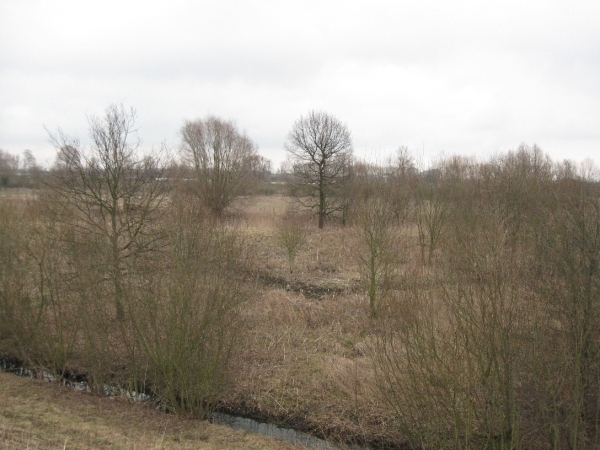 Den Batteleir zennegat 010