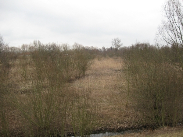 Den Batteleir zennegat 011