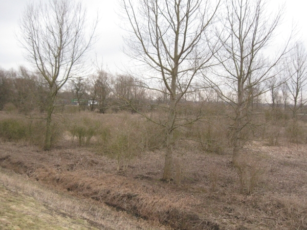 Den Batteleir zennegat 033