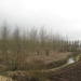 Den Batteleir zennegat 057