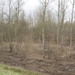 Den Batteleir zennegat 061