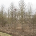 Den Batteleir zennegat 062