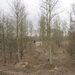 Den Batteleir zennegat 063