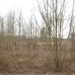 Den Batteleir zennegat 065
