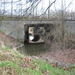 Zemstse Zenne 004
