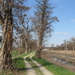 Zemstse Zenne 017