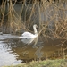 WS 78, Leidschedam. 25 februari 2012 016