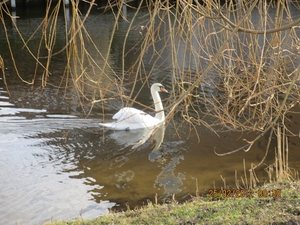 WS 78, Leidschedam. 25 februari 2012 016