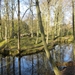 WS 78, Leidschedam. 25 februari 2012 084