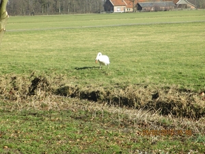 WS 78, Leidschedam. 25 februari 2012 088