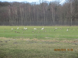 WS 78, Leidschedam. 25 februari 2012 092