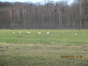 WS 78, Leidschedam. 25 februari 2012 092