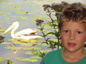 Wout