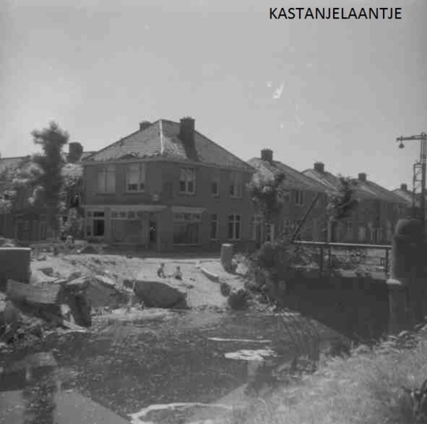 KASTANJELAANTJE
