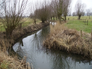 Lovendegem Februari 2012 013