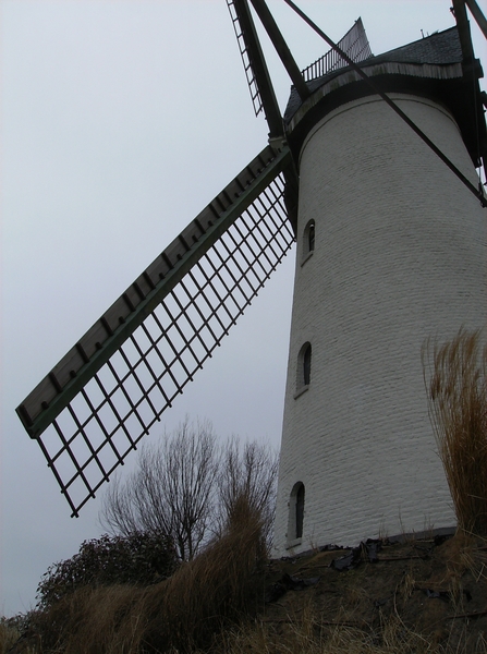 Lovendegem Februari 2012 016