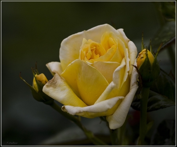 sized_Vrijbroek 033