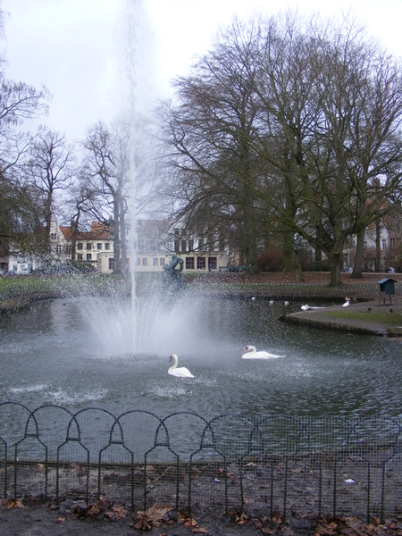 brugsvariet 2012 017