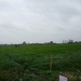 120409 WIPPELGEM 001