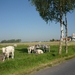120528 KANEGEM 007
