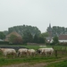 120531 WATERLAND OUDEMAN 007