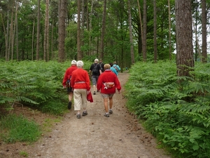 120602 LEMBEKE 008