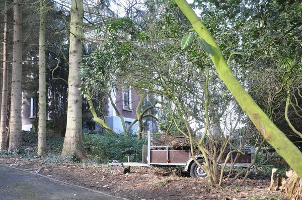 001 PRIMAVERA RITJE...