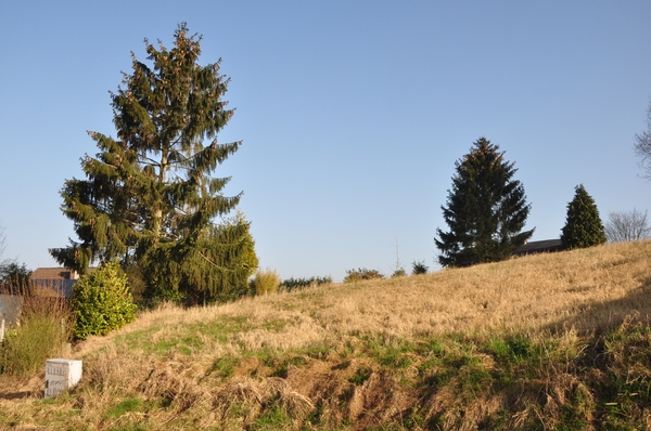 001 NATUUR WEELDE LANGS DE BOSBERG !