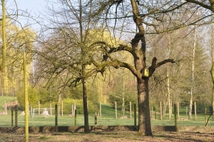005