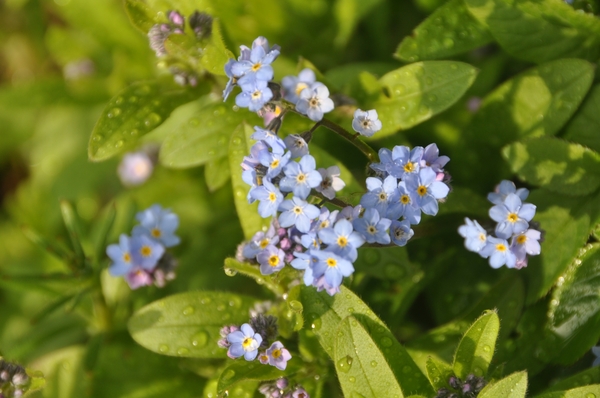 001 GEDULDIG OBSERVEREN....