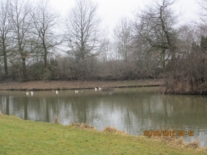 Geldermalsen, Winterserie 40 km, 3 maart 2012 001