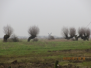 Geldermalsen, Winterserie 40 km, 3 maart 2012 010