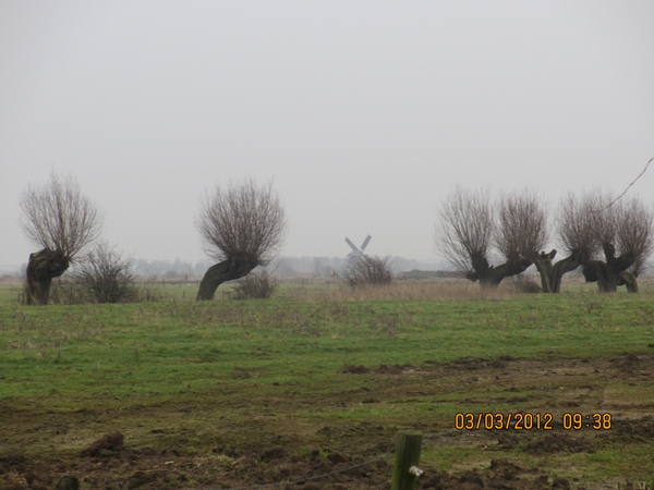 Geldermalsen, Winterserie 40 km, 3 maart 2012 010