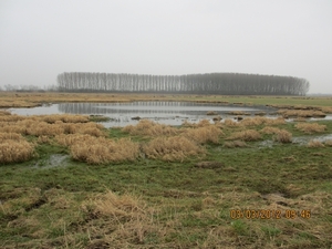 Geldermalsen, Winterserie 40 km, 3 maart 2012 015