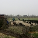 Geldermalsen, Winterserie 40 km, 3 maart 2012 028